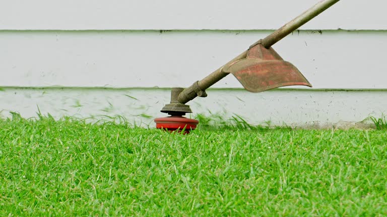 Lawn Watering Services in Devens, MA