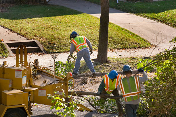 Lawn Renovation and Restoration in Devens, MA